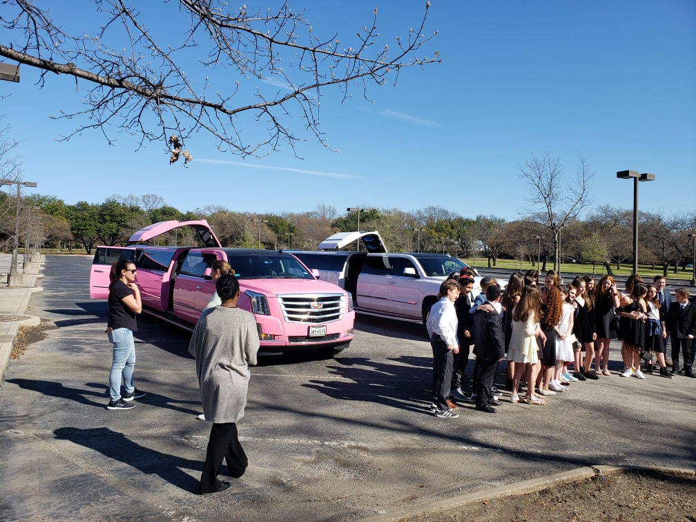 Pink Limo Fort Worth